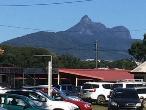 Murwillumbah Farmers' Market - ACT Tourism 2