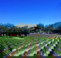 Palmview - ACT Tourism