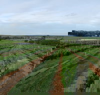 Razorback Cawdor Camden Park - ACT Tourism