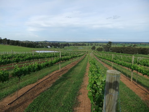 Razorback, Cawdor, Camden Park - ACT Tourism 0