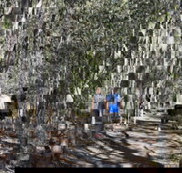 Six Mile Creek Bluff Lookout and Little White Rock Trails - ACT Tourism