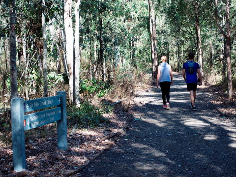 Six Mile Creek, Bluff Lookout And Little White Rock Trails - ACT Tourism 2