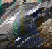 Skirmish Sunshine Coast Outdoor Paintball - ACT Tourism