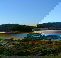 Snorkelling Broulee Island - ACT Tourism