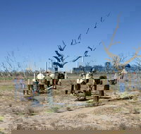 Sturt's tree walk - ACT Tourism