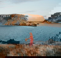 The Nut - ACT Tourism