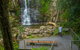 The Falls Walk, Budderoo National Park - thumb 0