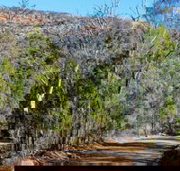 Weddin Gap to Black Spring Loop Trail - ACT Tourism