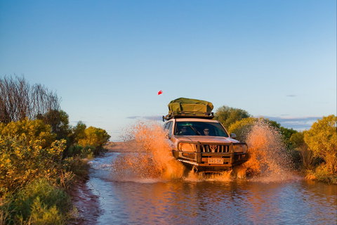 Witjira National Park - ACT Tourism 1