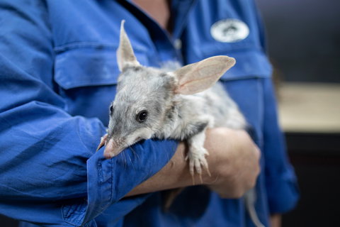 9 Day Outback Adventure - ACT Tourism 0