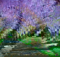 Alowyn Gardens and Nursery - ACT Tourism