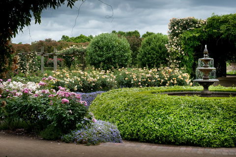 Alowyn Gardens And Nursery - ACT Tourism 1