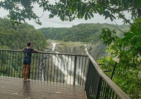 Barron Falls Lookout Track, Barron Gorge National Park - ACT Tourism 1