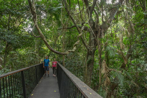 Barron Falls Lookout Track, Barron Gorge National Park - ACT Tourism 2