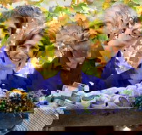 Bella Lavender Estate - ACT Tourism