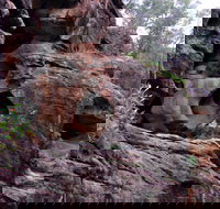 Bertha's Gully Walking Track - ACT Tourism