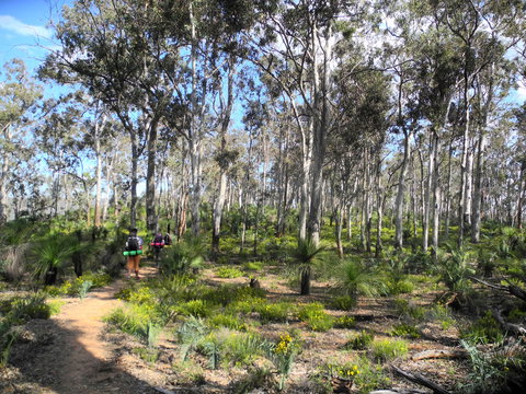 Bibbulmun Track - ACT Tourism 1