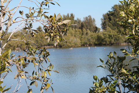 Boyters Lane Bird Hide - ACT Tourism 2