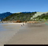 Broken Head Nature Reserve - ACT Tourism