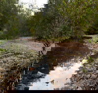Budawang National Park - ACT Tourism
