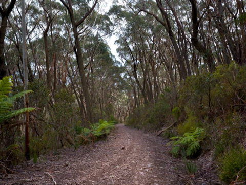 Budawang National Park - ACT Tourism 1