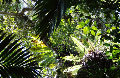 Byrrill Creek Walking Track - ACT Tourism 0