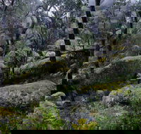 Cathedral Rock Track - ACT Tourism