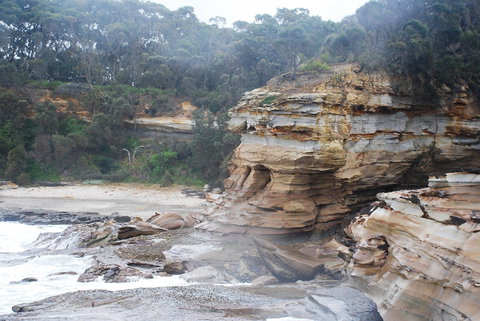 Cookies Beach Picnic Area - South Durras - ACT Tourism 2
