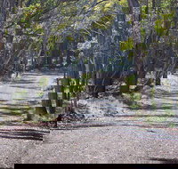 Coolah Tops National Park - ACT Tourism