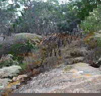 Dergholm State Park - ACT Tourism