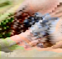 Eat Pick Grow Trail - Wanneroo and Chittering - ACT Tourism