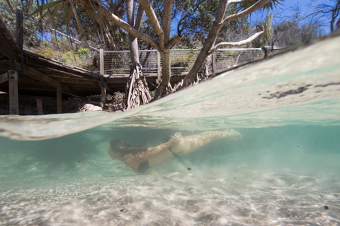 Eli Creek - ACT Tourism 2
