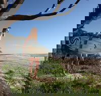 Evans Head Surf Shack - ACT Tourism