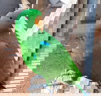 Eyre Reptile  Wildlife Park - ACT Tourism