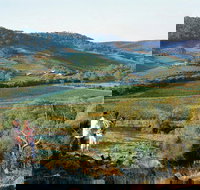 Farm Flavour Trail Chittering Valley - ACT Tourism