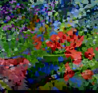 Ferry Artists Gallery - ACT Tourism