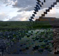 Fogg Dam Conservation Reserve - ACT Tourism