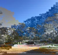 Grenfell Endemic Garden - ACT Tourism