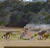 Great Nature Trail - ACT Tourism