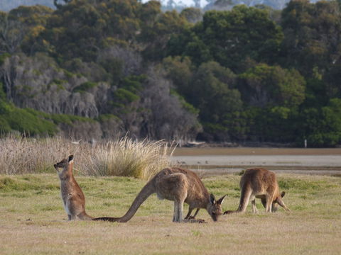 Great Nature Trail - ACT Tourism 0