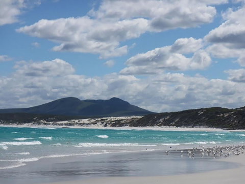 Hakea Walk Trail, East Fitzgerald National Park - ACT Tourism 0