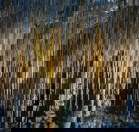 Hastings Caves and Thermal Springs - ACT Tourism