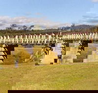 Historic Tabulam DeBurgh Timber Bridge - ACT Tourism