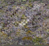 Horsnell Gully and Giles Conservation Parks - ACT Tourism