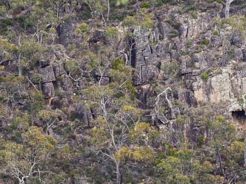 Horsnell Gully And Giles Conservation Parks - ACT Tourism 0