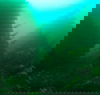 Investigator Strait Shipwreck Trail - ACT Tourism