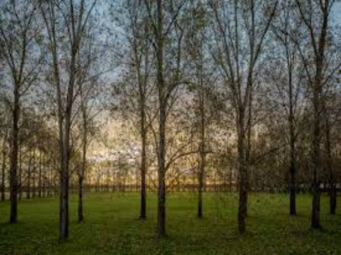 John Tucker Park - ACT Tourism 1