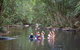 Kerewong State Forest - thumb 0