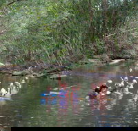 Kerewong State Forest - ACT Tourism