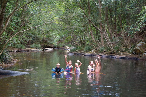Kerewong State Forest - ACT Tourism 0